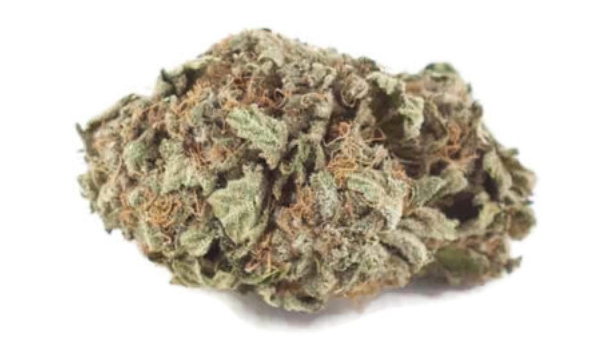 Sour-Grapes-WeedCottage.Online